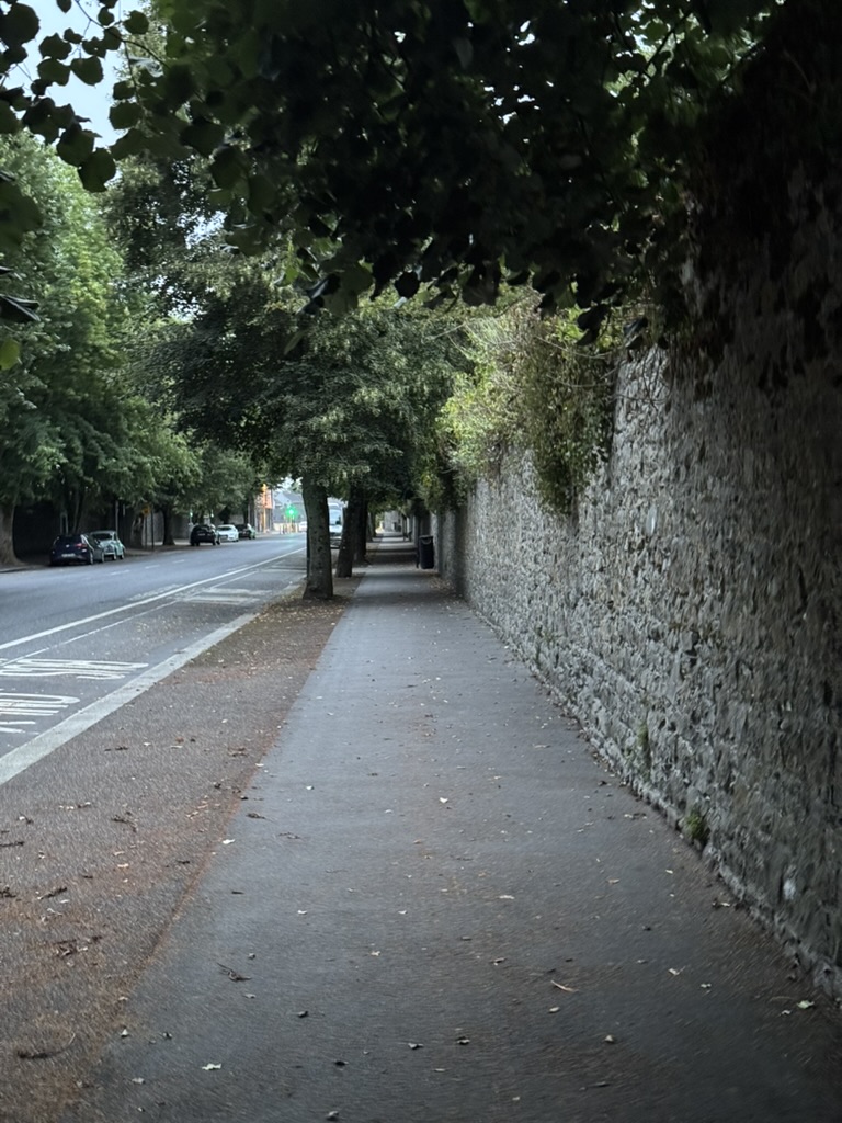 Kilkenny - July 2025